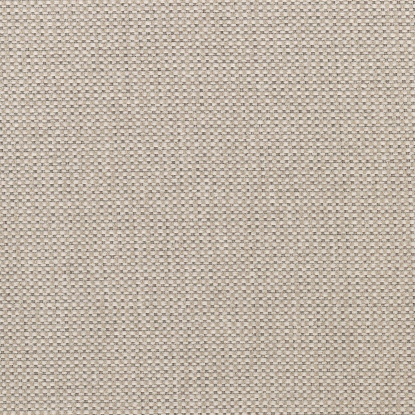 4913-19 Fabric Swatch