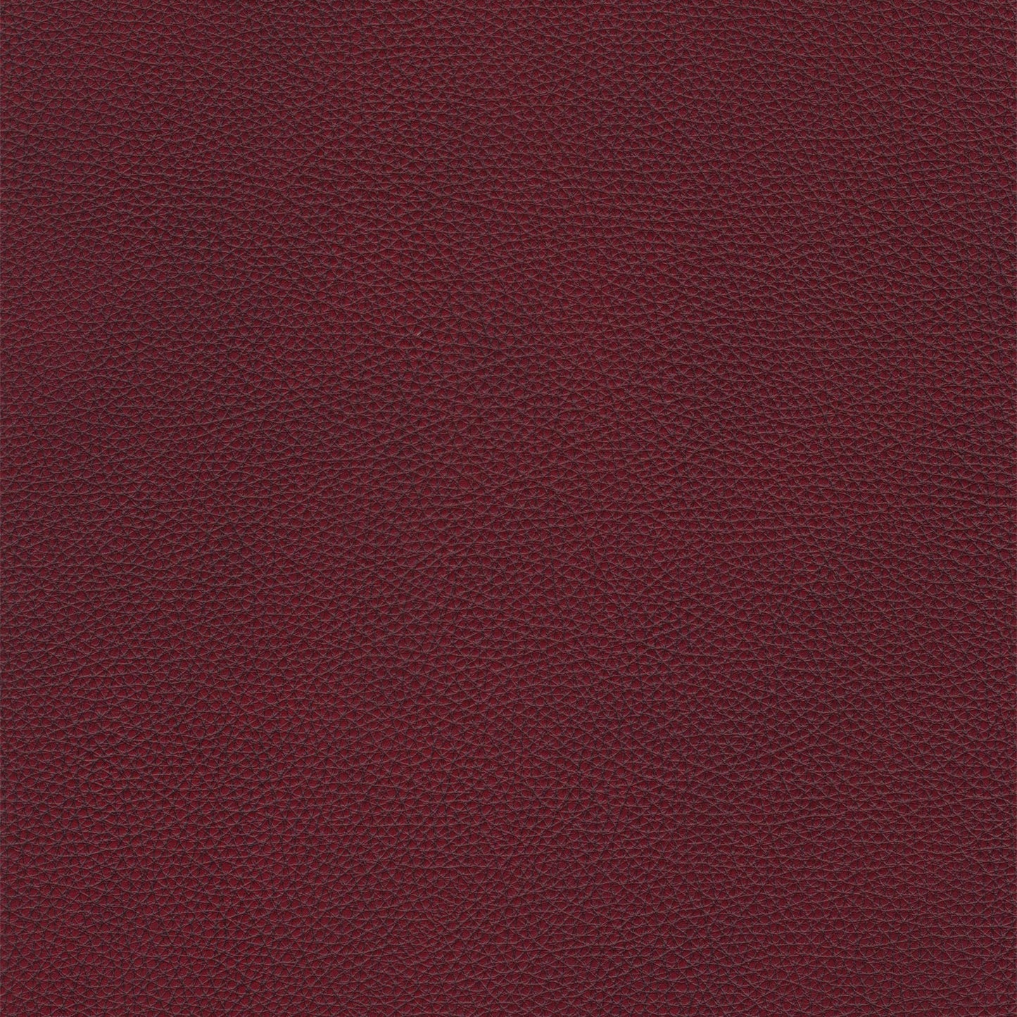 Bianca Ticca Leather Swatch