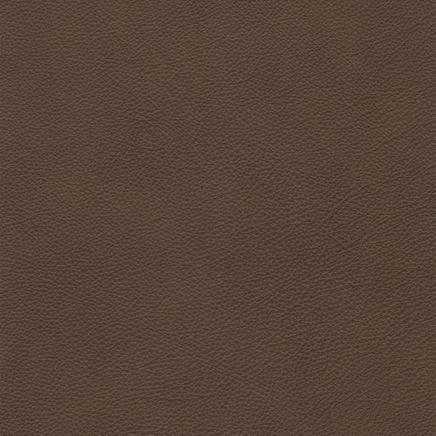 Bianca Toast Leather Swatch