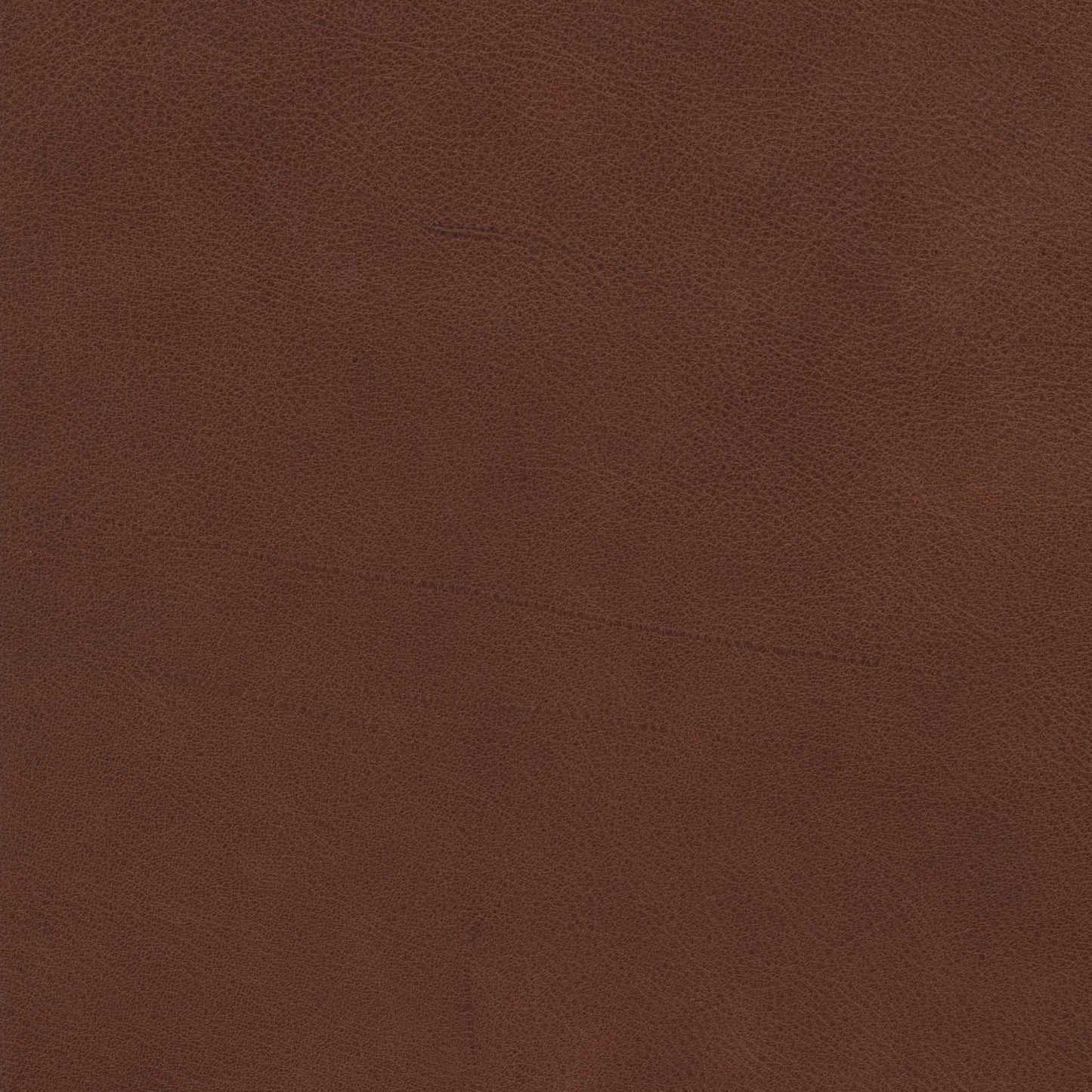Bozeman Big Timber Leather Swatch