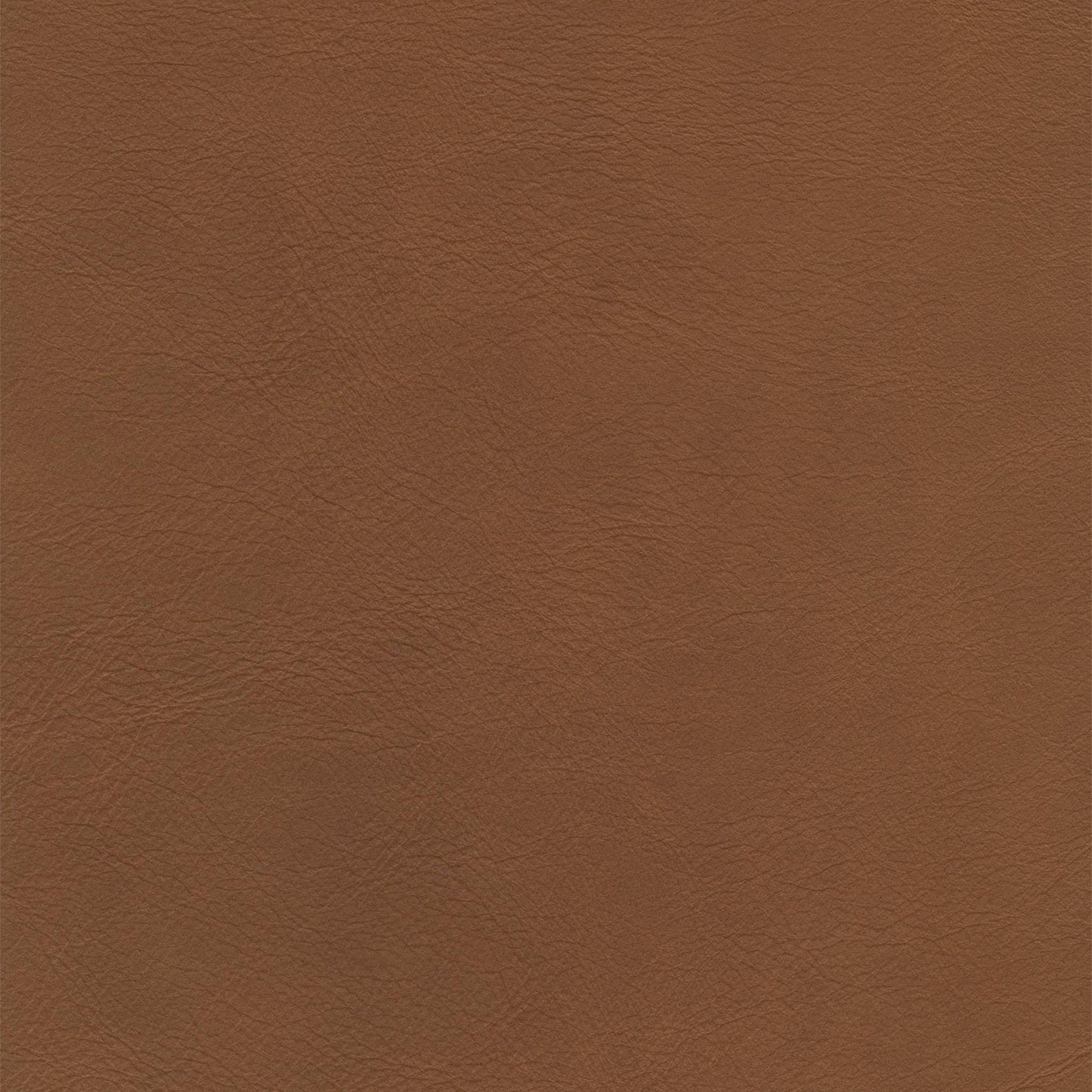 Defy Age Leather Swatch