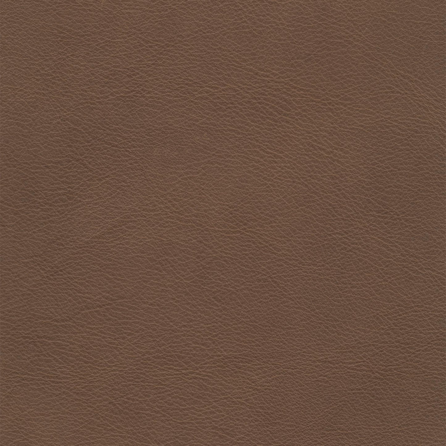 Defy Gravity Leather Swatch