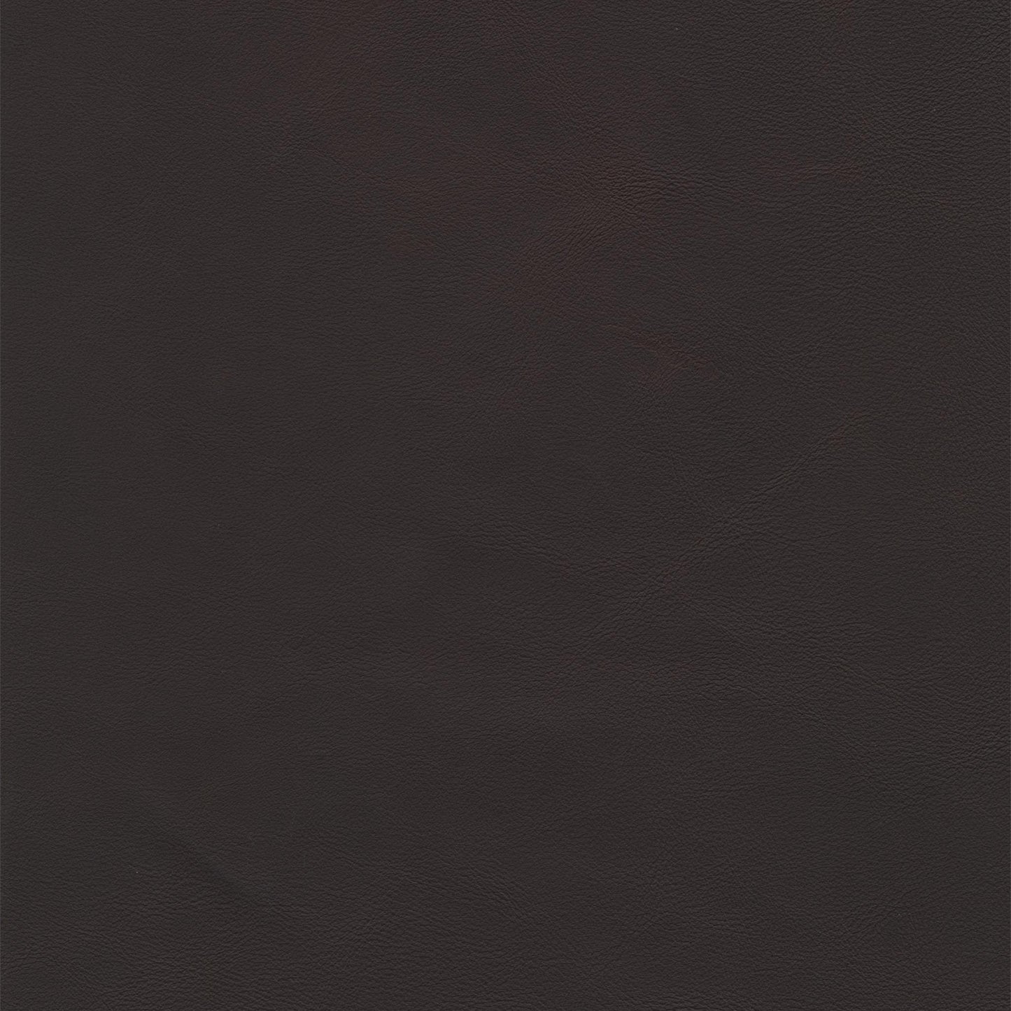 Defy The Past Leather Swatch