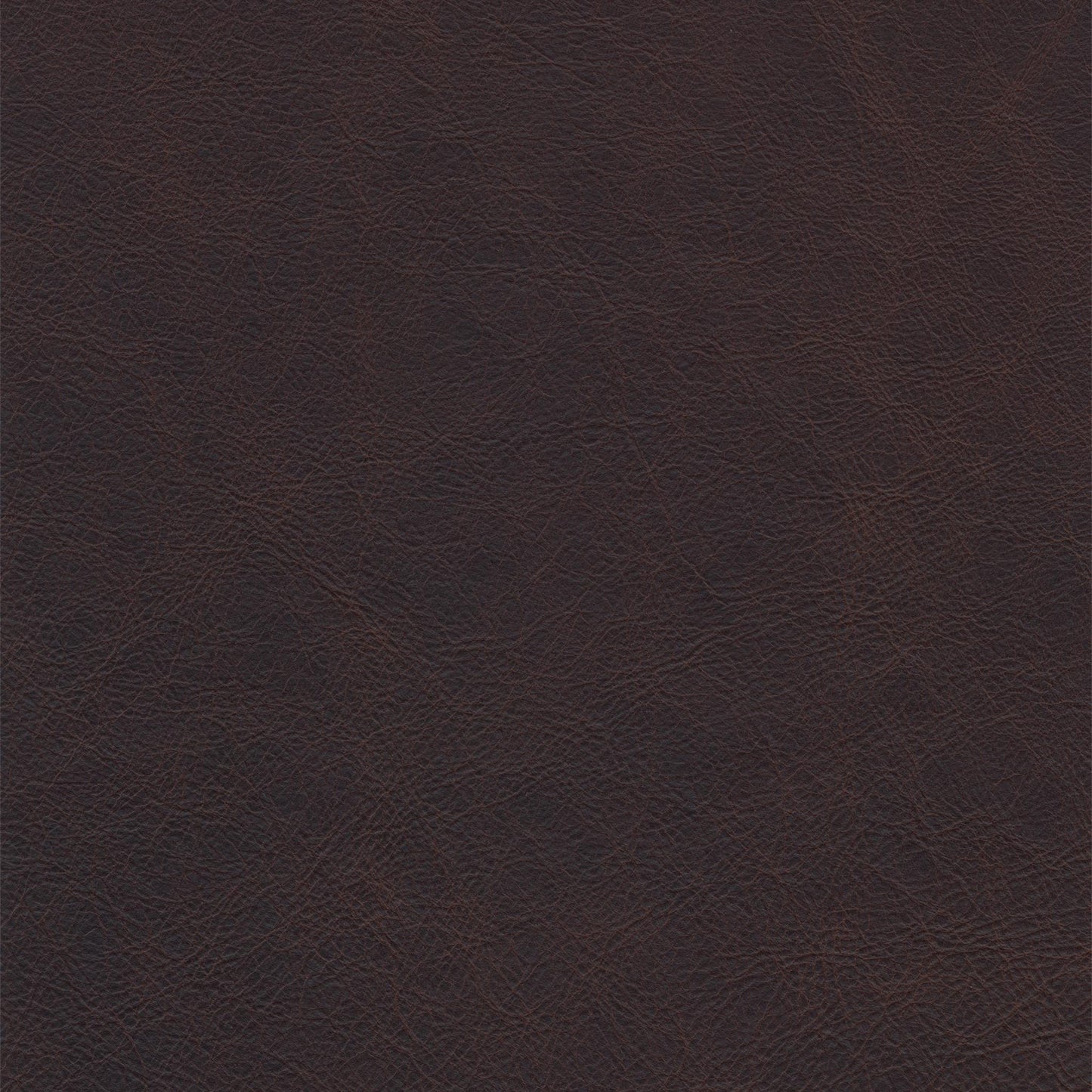 Durango Cognac Leather Swatch