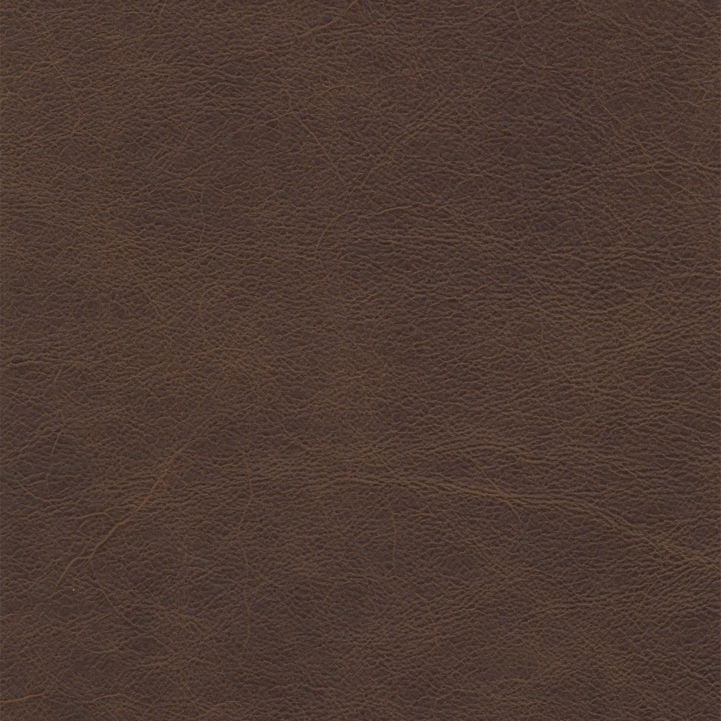 Durango Taupe Leather Swatch