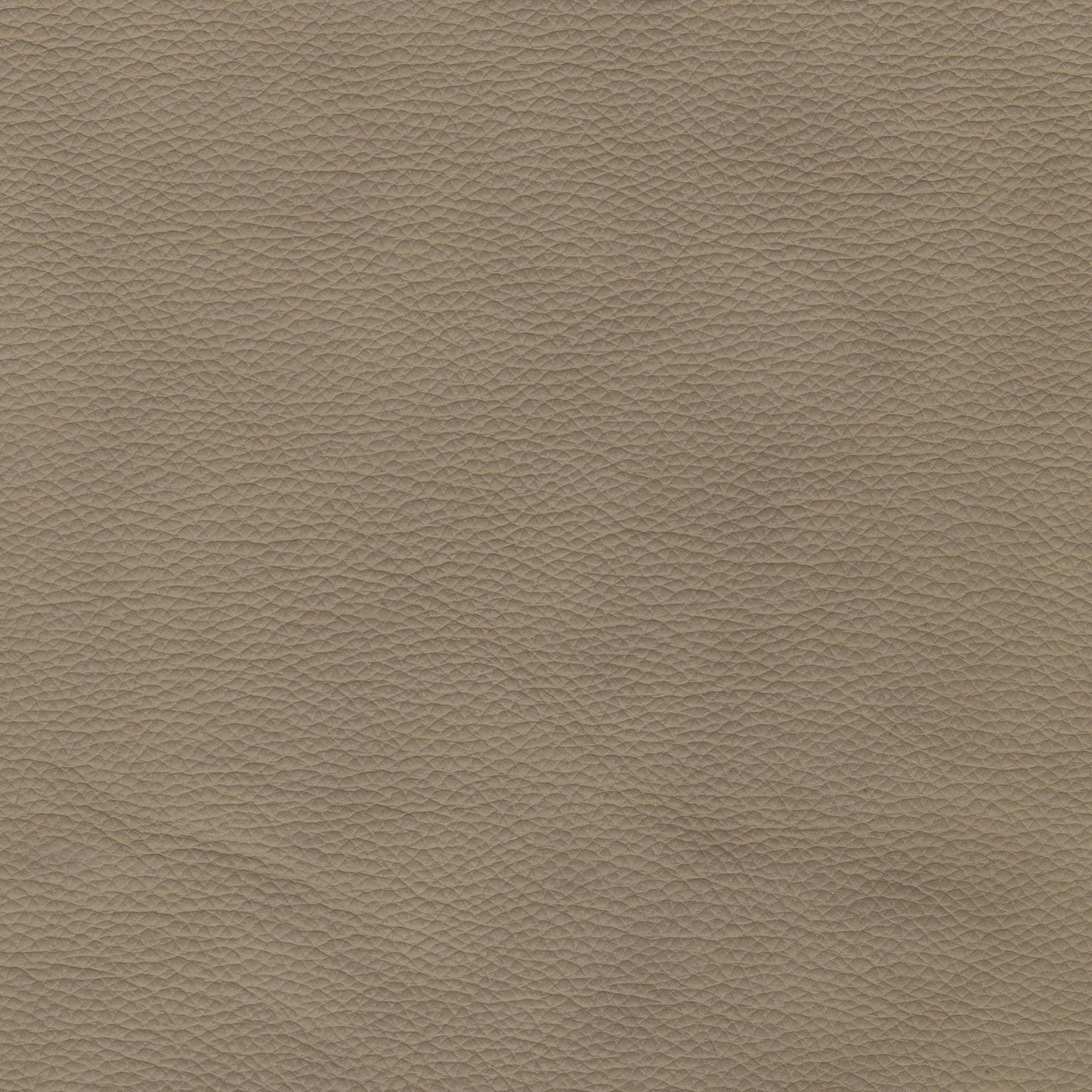 Futuro Taupe Leather - Stickley Furniture | Mattress