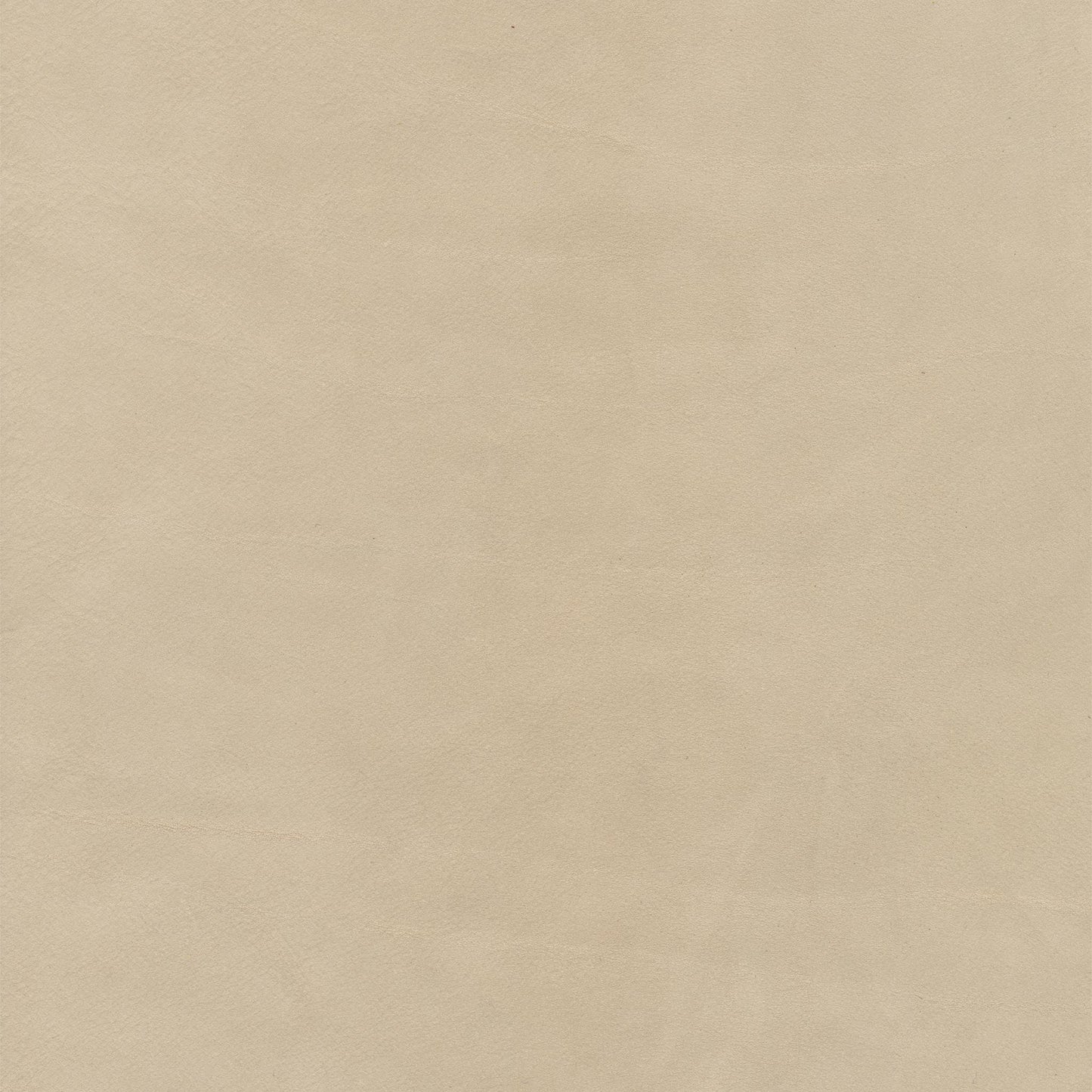 Peregrine Chalk Leather Swatch