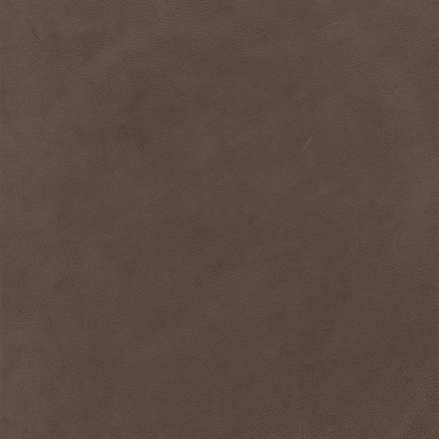 Peregrine Taupe Leather Swatch