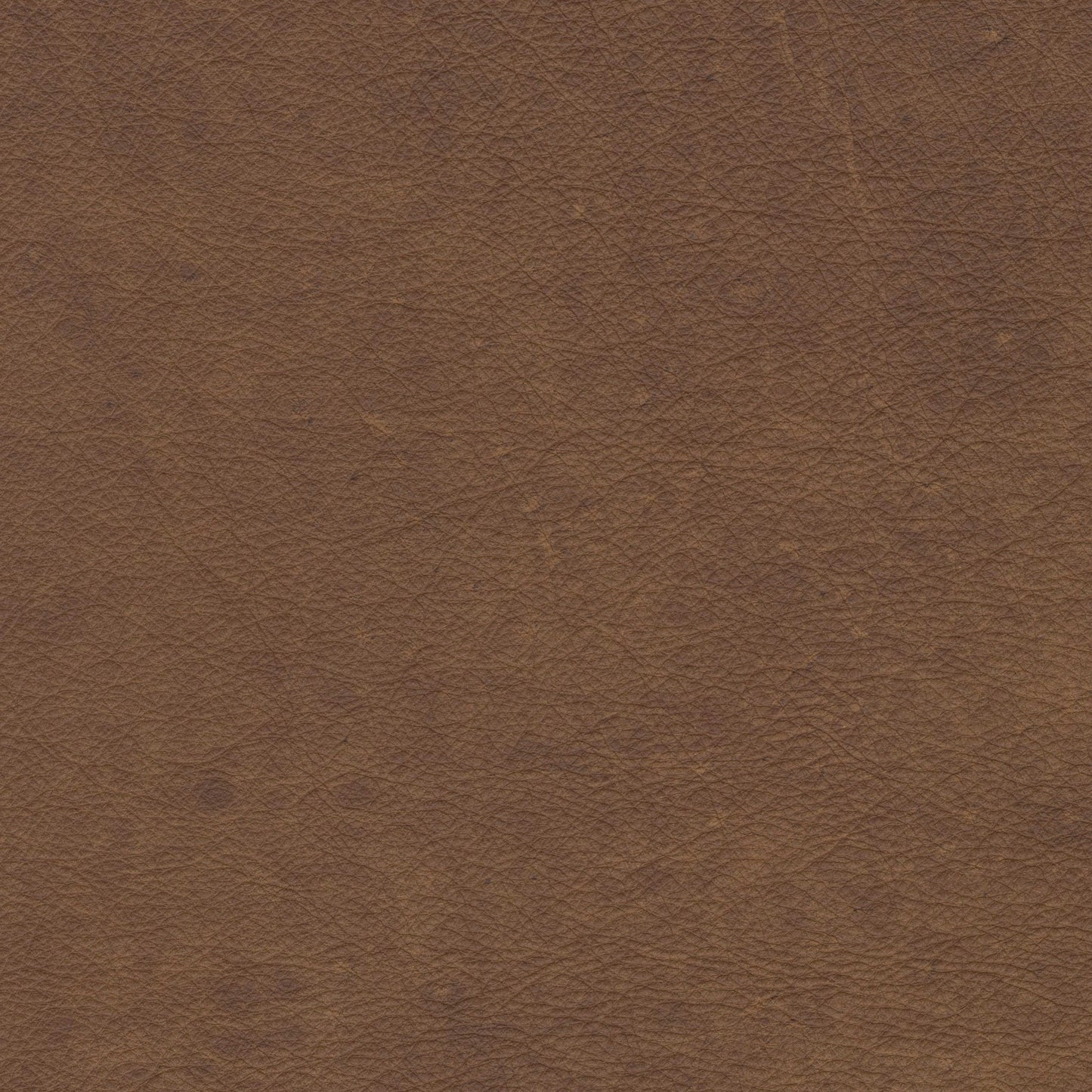 Chaps Gentle Fawn - Stickley Furniture | Mattress