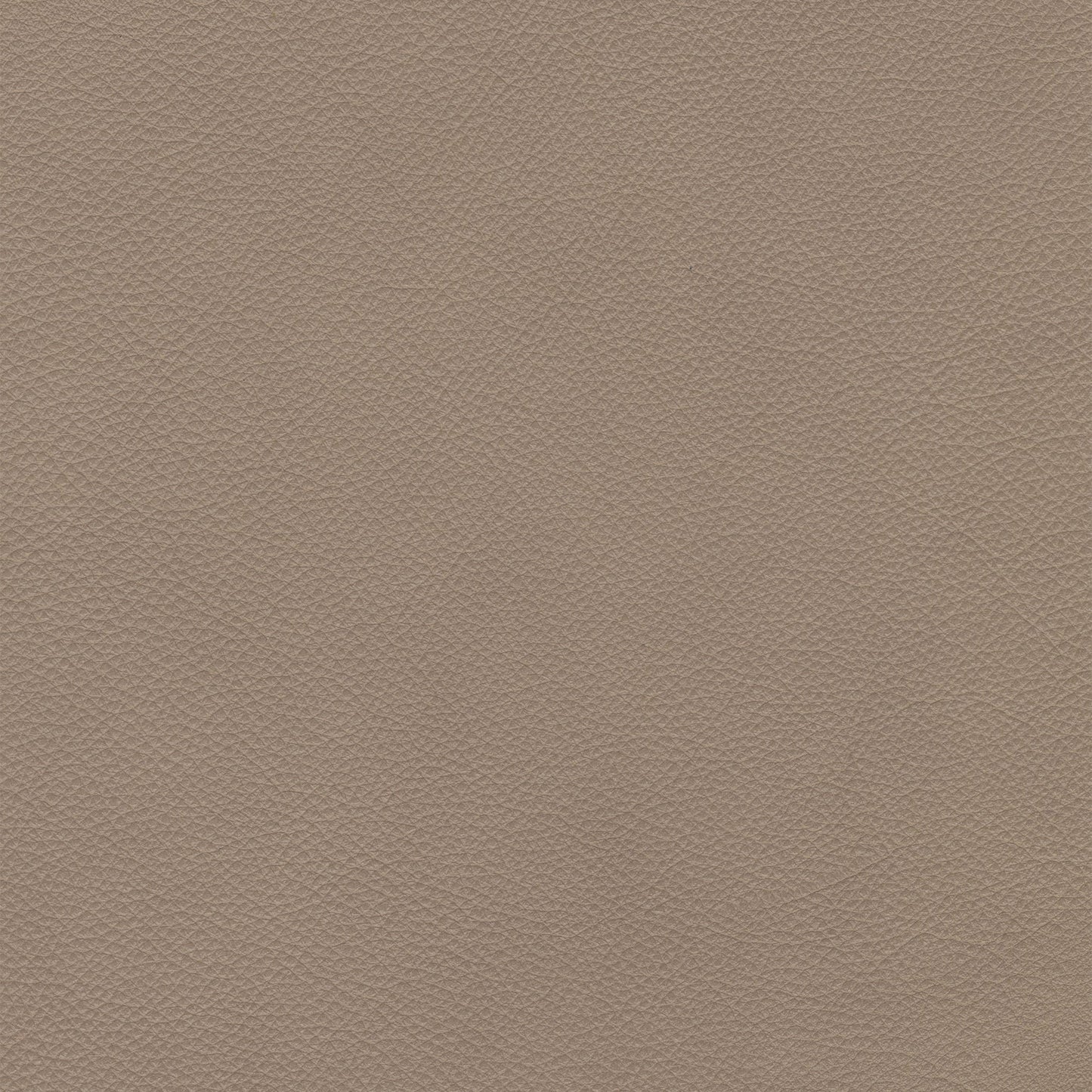 Weston Early Light Leather
