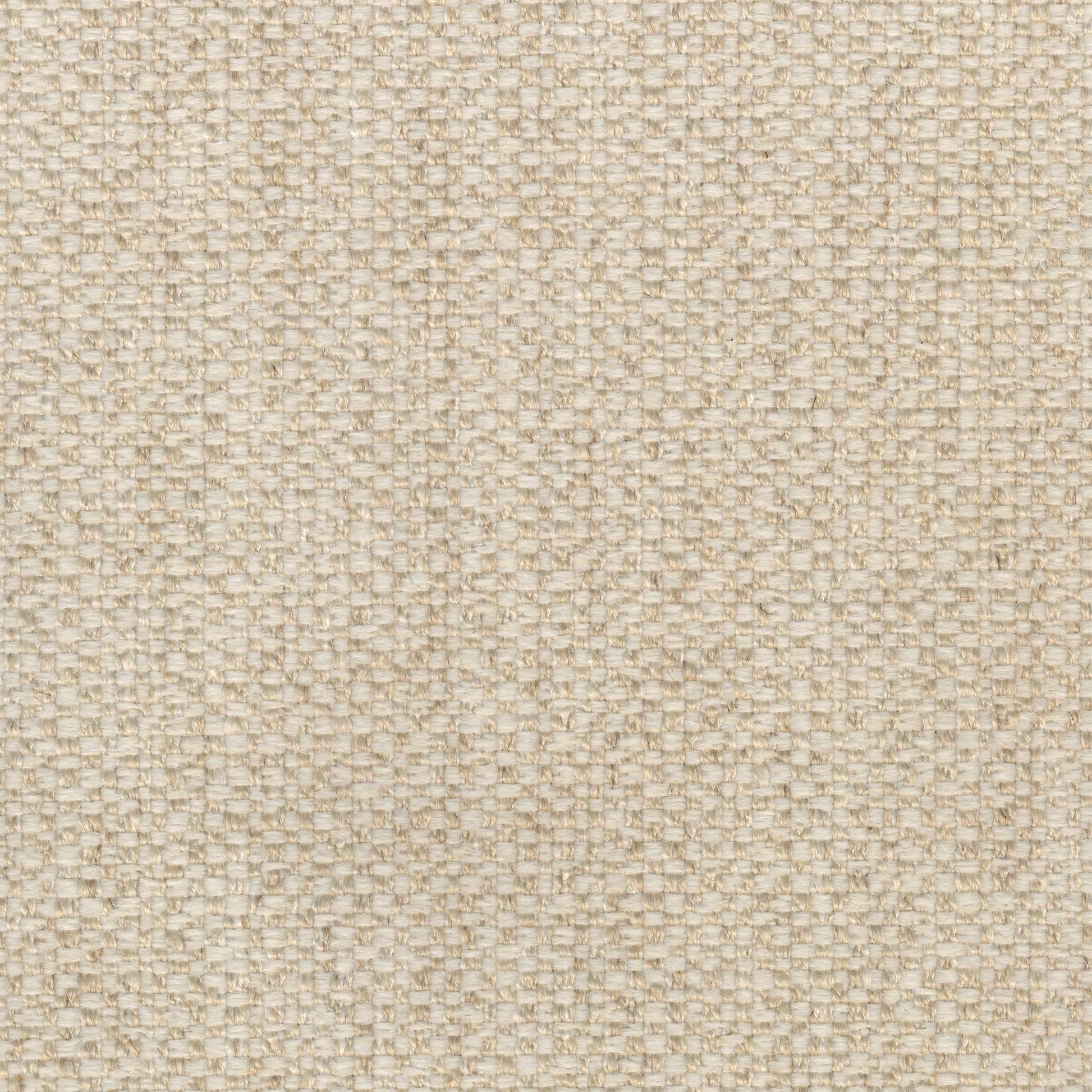 4924-19 Fabric Swatch