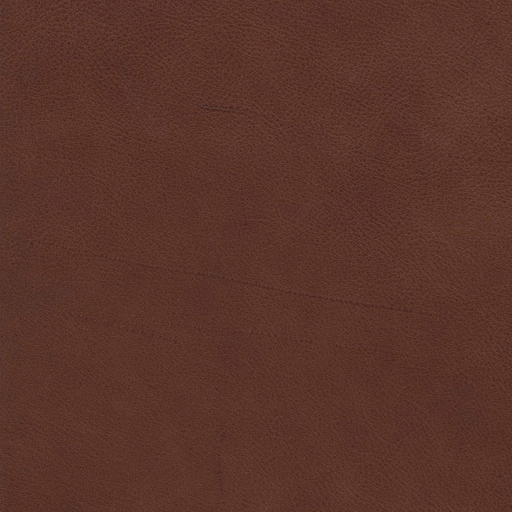 Bozeman Big Timber Leather Swatch