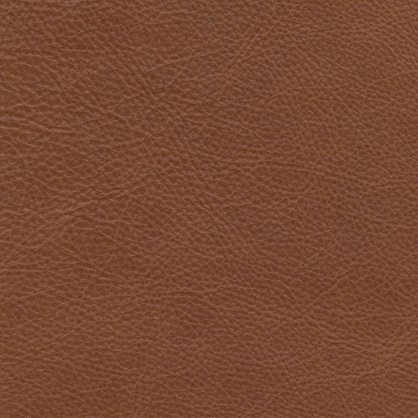 Bozeman Golden Glow Leather Swatch
