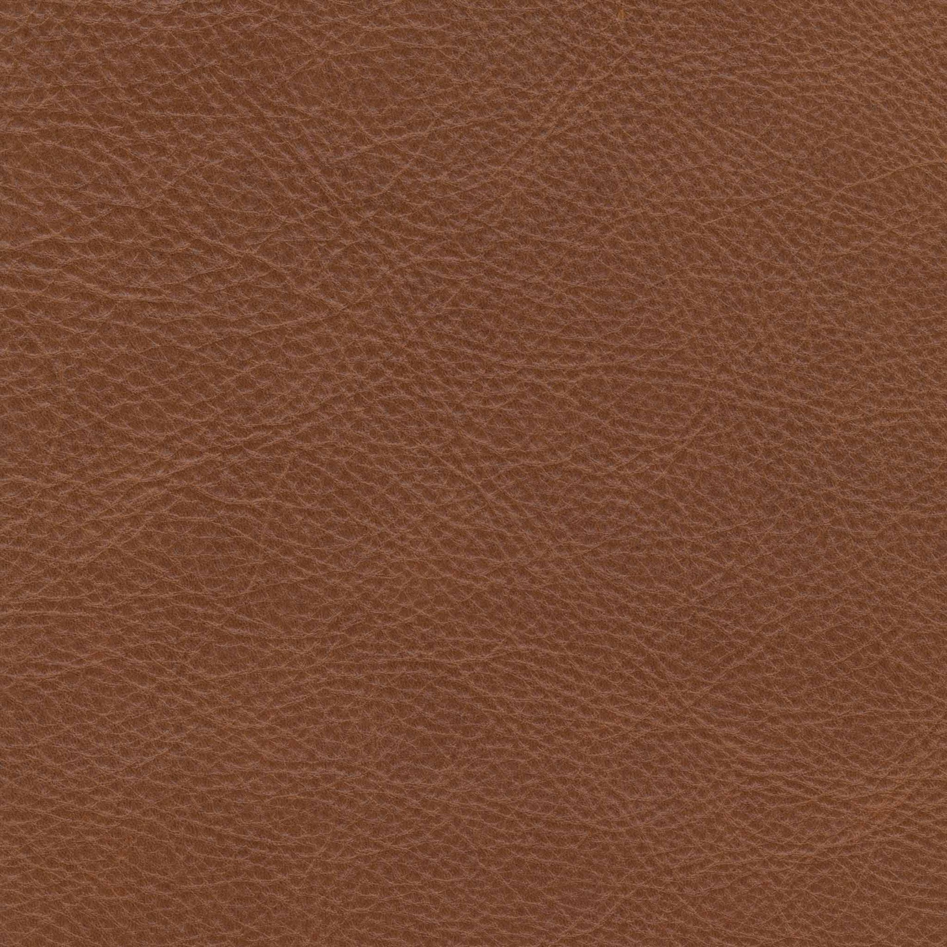 Bozeman Golden Glow Leather Swatch