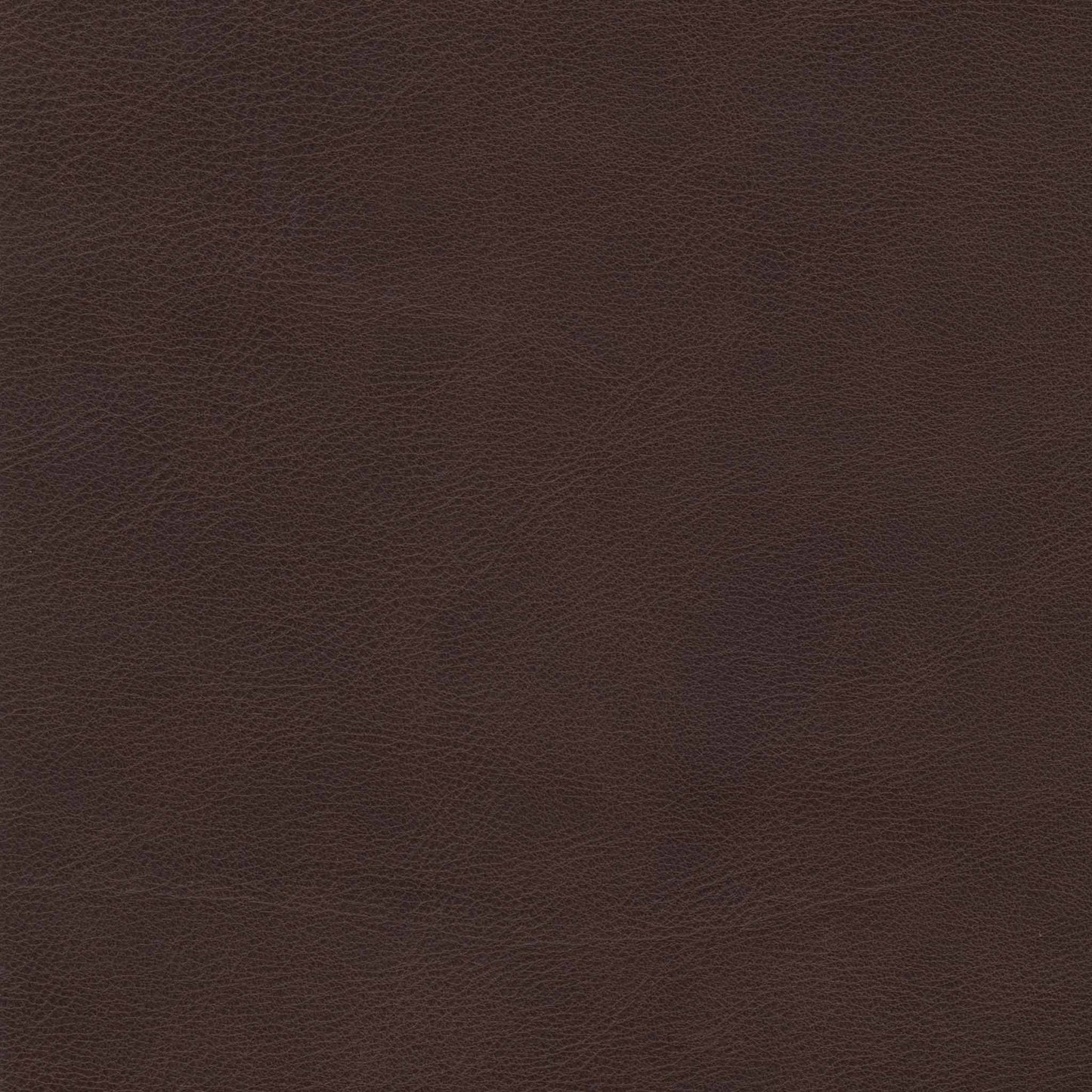 Bozeman Grizzly Leather Swatch