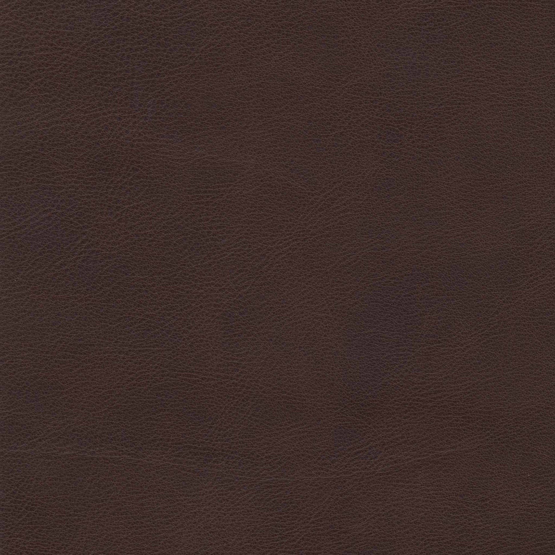 Bozeman Grizzly Leather Swatch