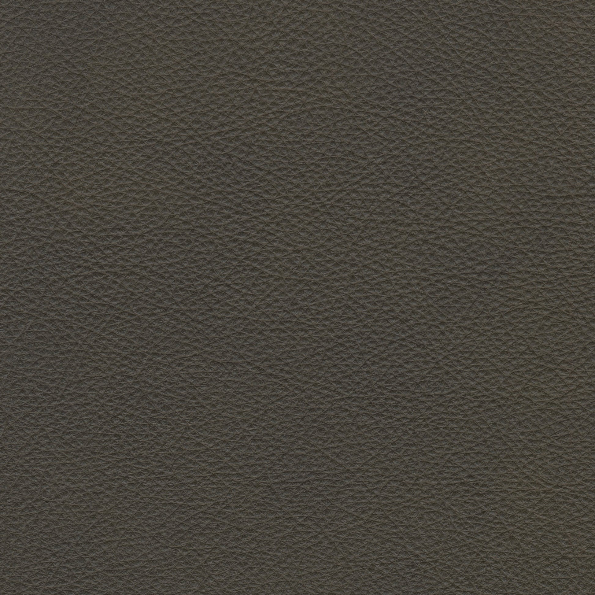 Colman Olive Leather - Stickley Furniture | Mattress