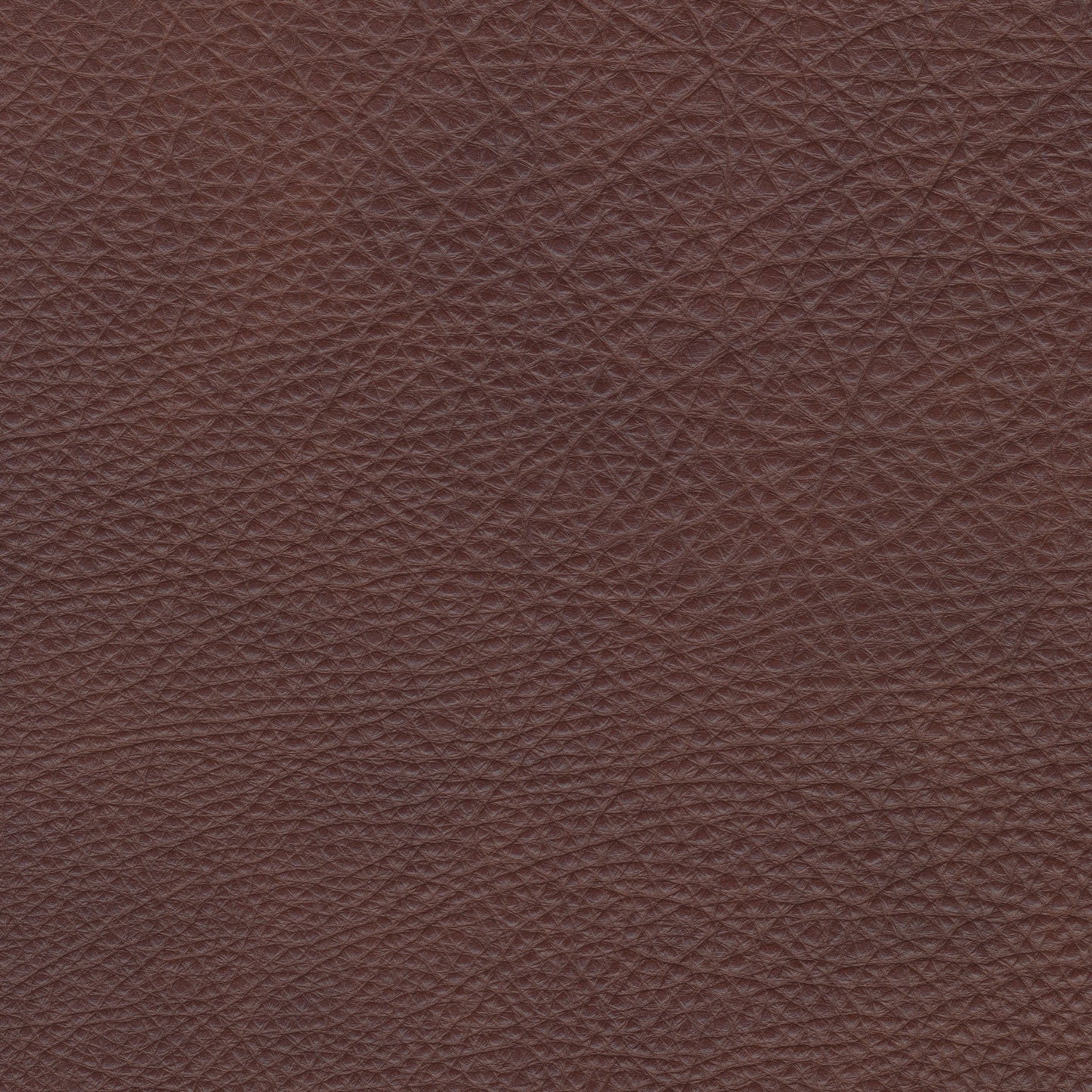 Colman Sienna Leather - Stickley Furniture | Mattress