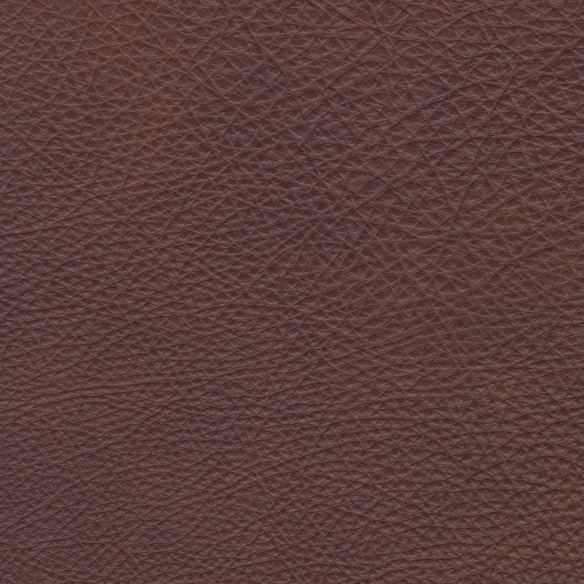 Colman Sienna Leather - Stickley Furniture | Mattress