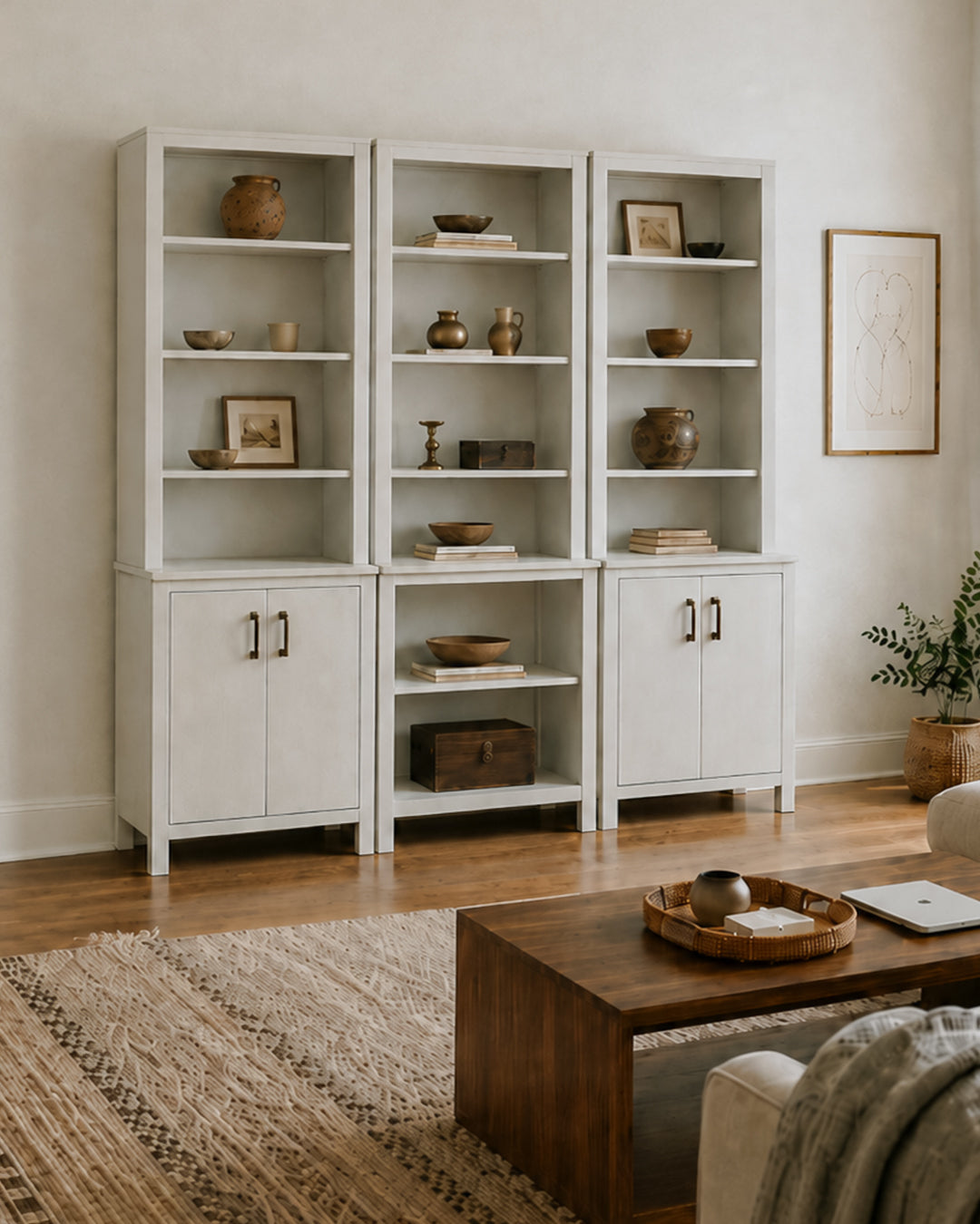 Bookcases That Tell Your Stories