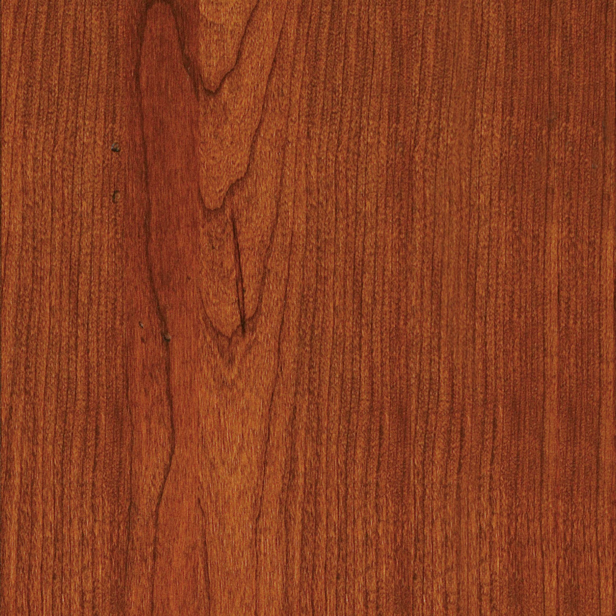 GET BETTER TODAY シングレット Cherry 299 Pasadena – Stickley