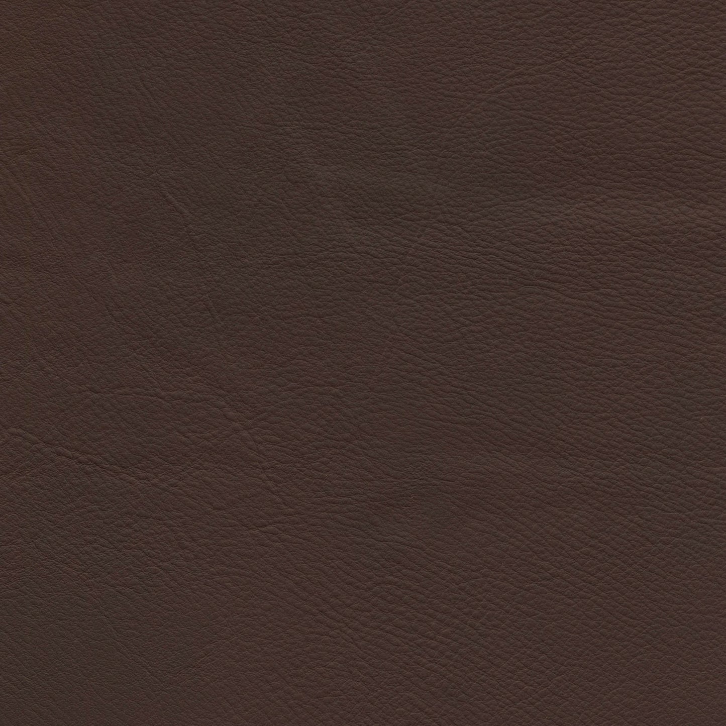 Morganton Cola - Stickley Furniture | Mattress