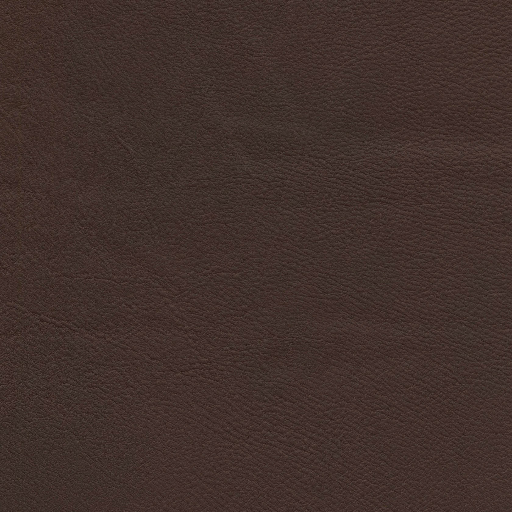 Morganton Cola - Stickley Furniture | Mattress